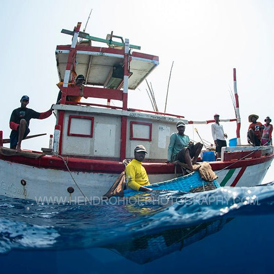 Dampak Overfishing di Indonesia Bagi Nelayan Kecil - OSCARLIVING
