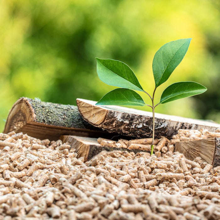 Menjamin Biomassa Berkelanjutan: Manfaat dan Pentingnya Sertifikasi Green Gold Label (GGL) - OSCARLIVING