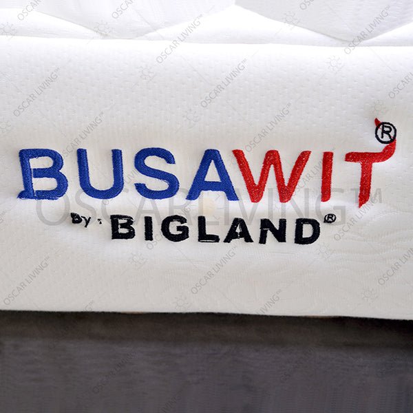 KASUR BUSAKasur Busa Bigland Mattrass Foam Busawit | Fullset CelticsBIGLANDOSCARLIVING